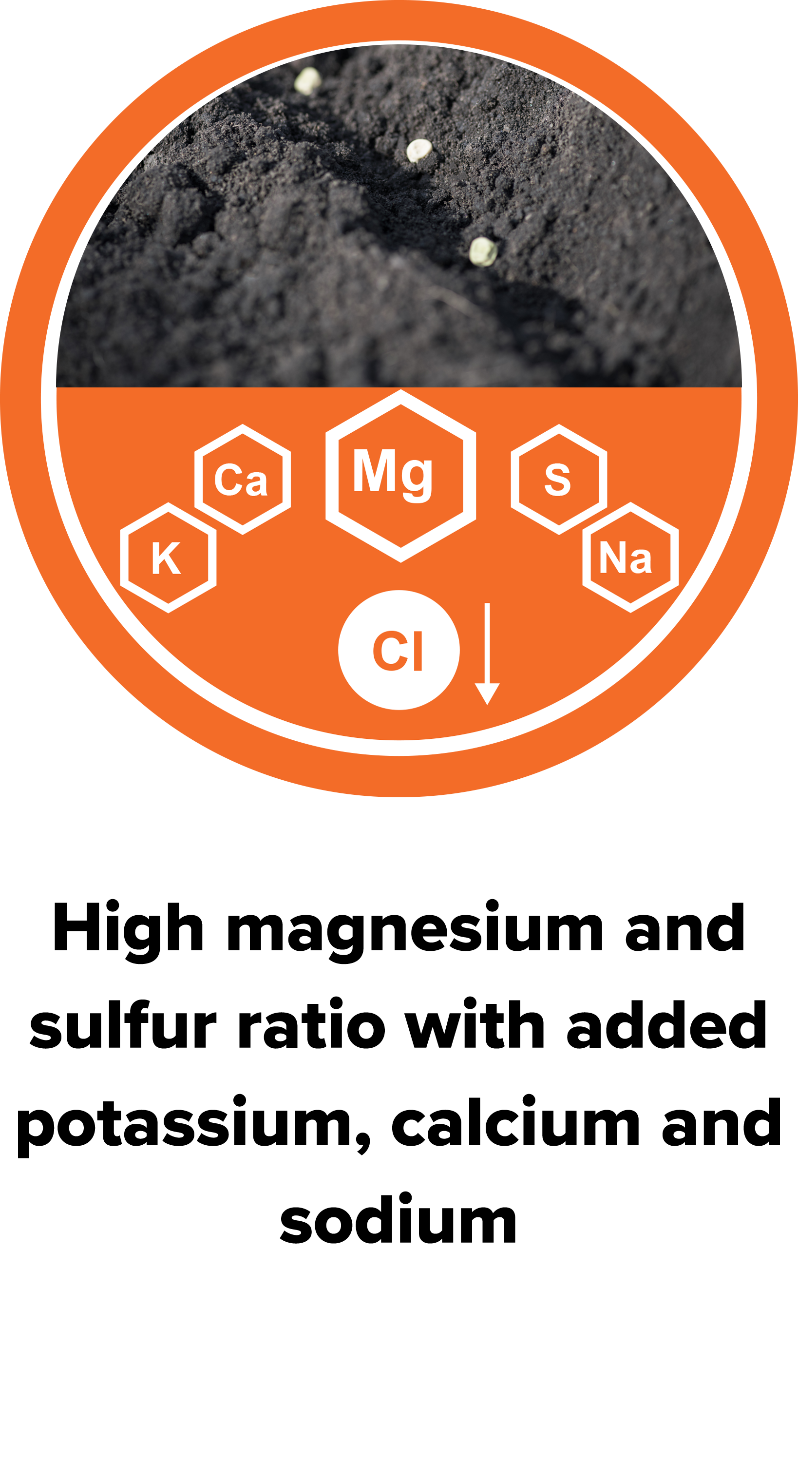 Mineral fertiliser POLISULMAG® GoudenKorrel