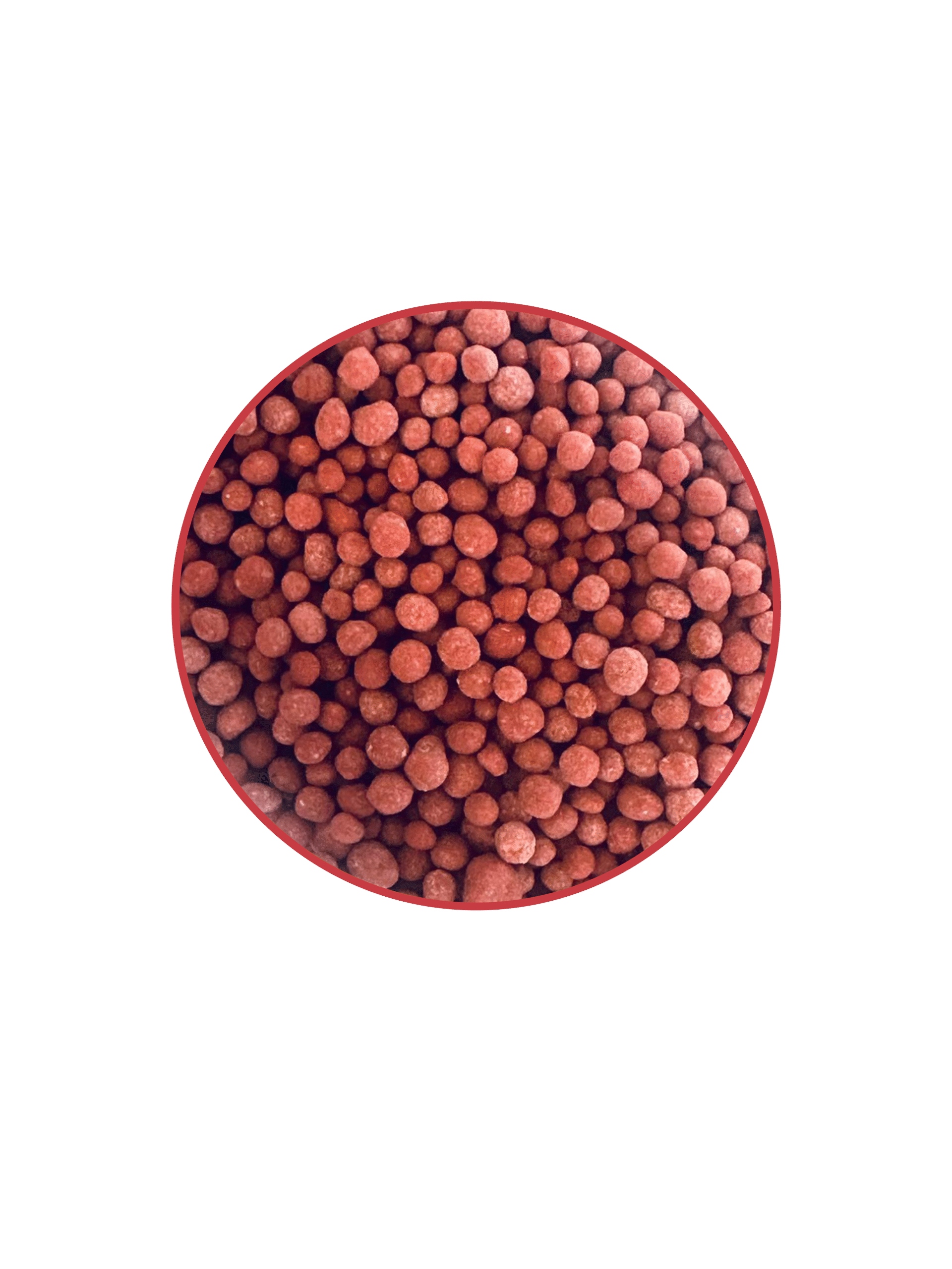 Granules - polyhalite complex