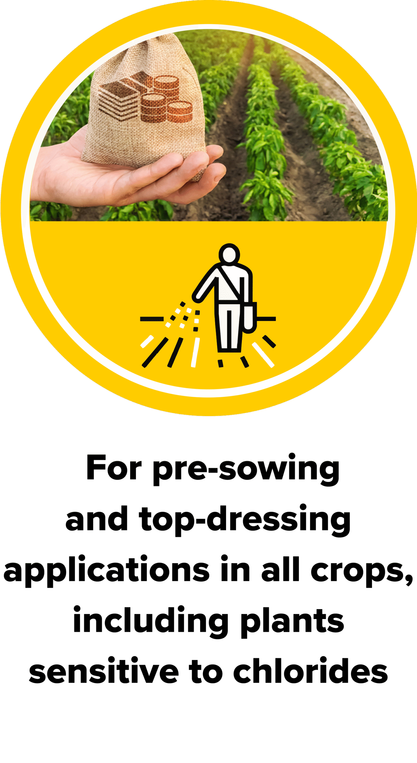 For pre-sowing and top-dressing applications in all crops, including plants sensitive to chlorides