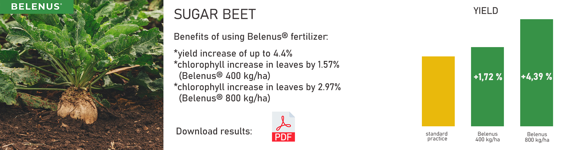 Sugar beet - field trial data