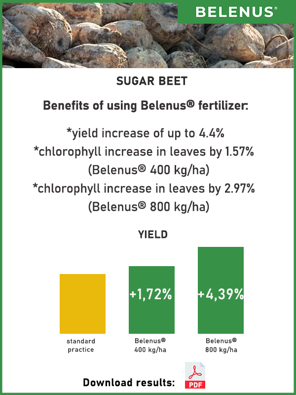 Sugar beet - field trial data