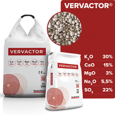 VERVACTOR