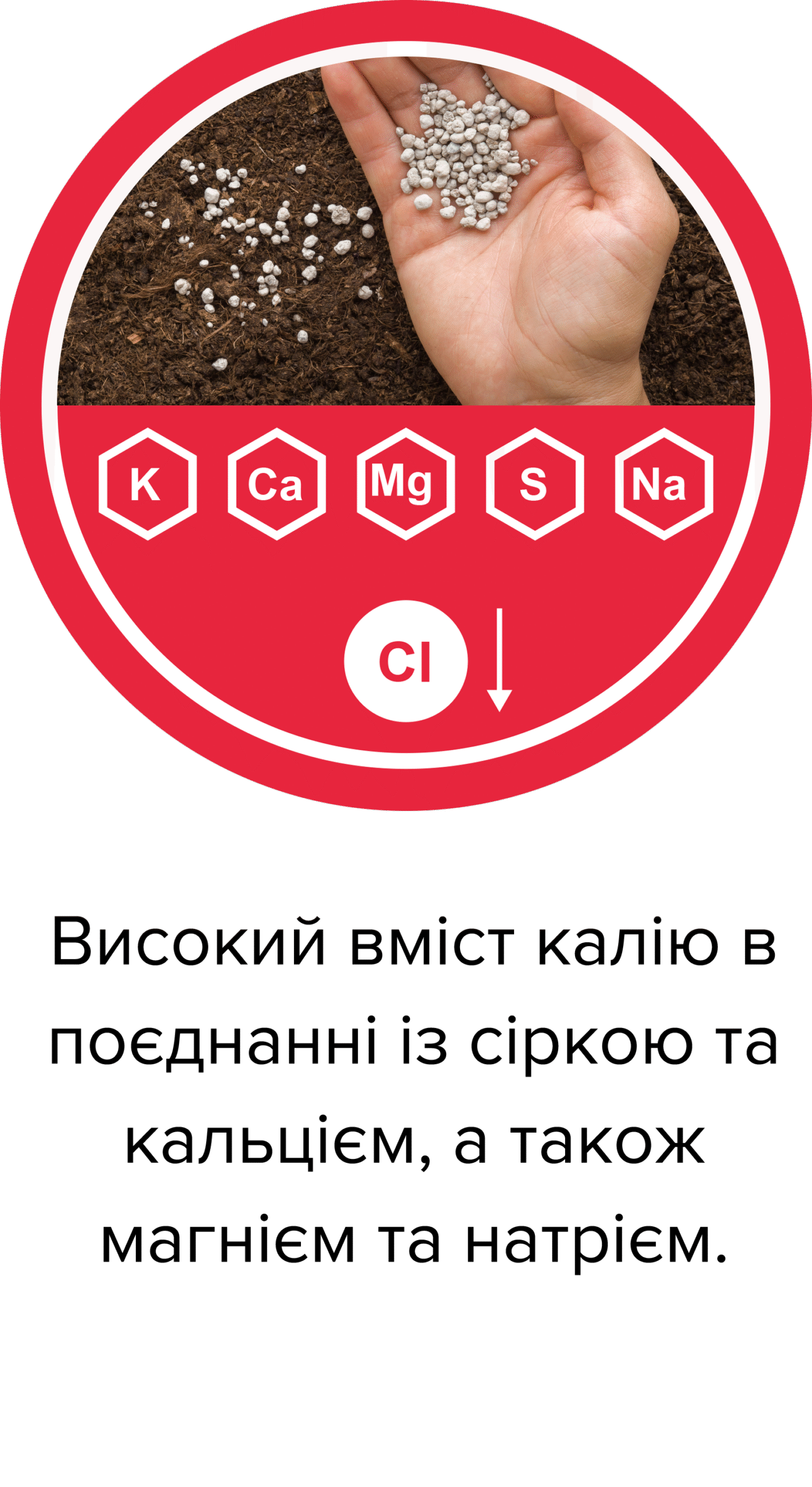 1. Високий вміст калію в поєднанні із сіркою та кальцієм, а також магнієм та натрієм