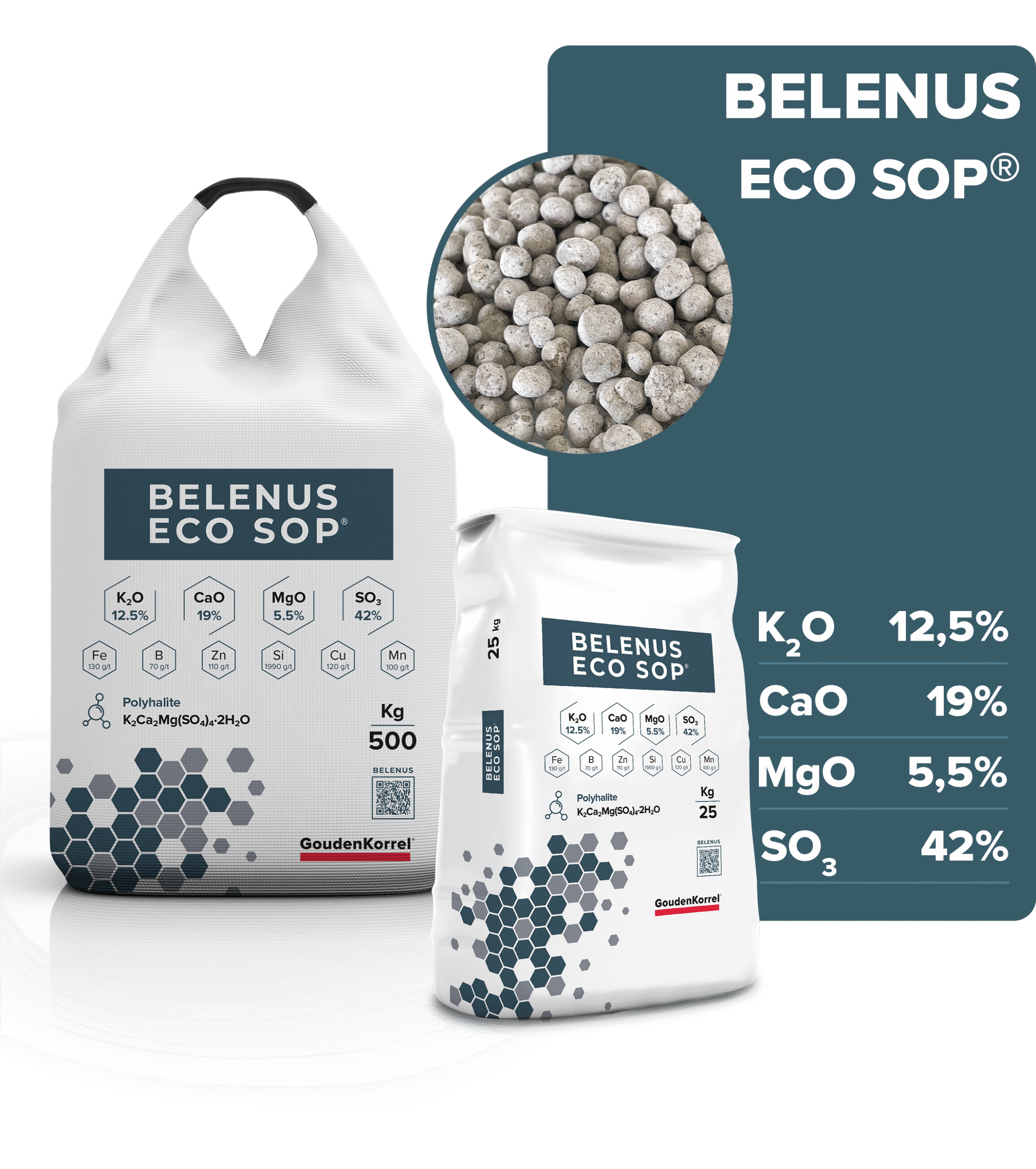 BELENUS ECO SOP