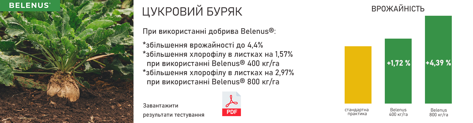 Результати досліджень_цукровий буряк